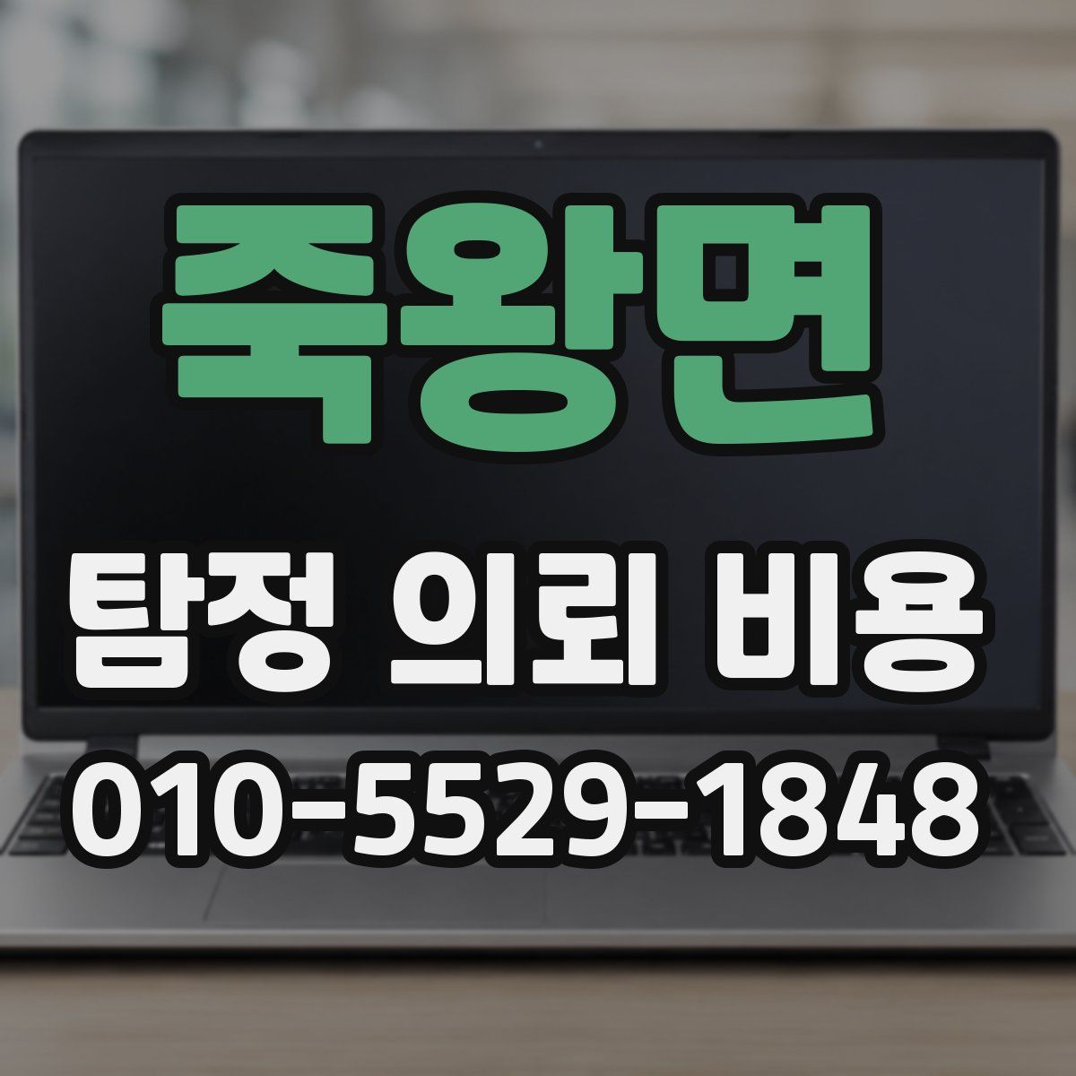 죽왕면 탐정 의뢰 비용