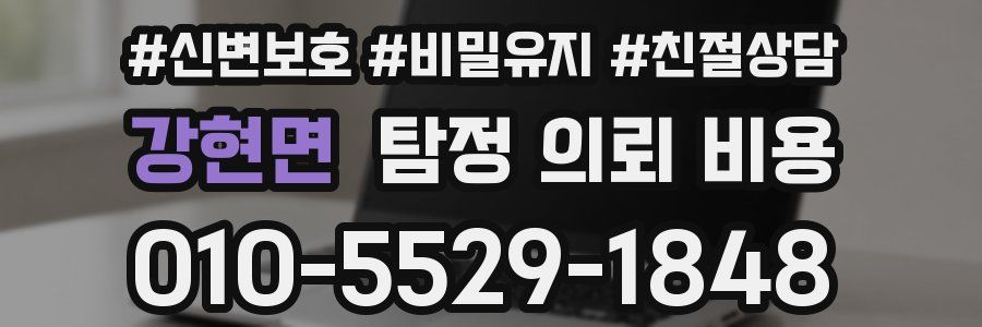강현면 탐정 의뢰 비용