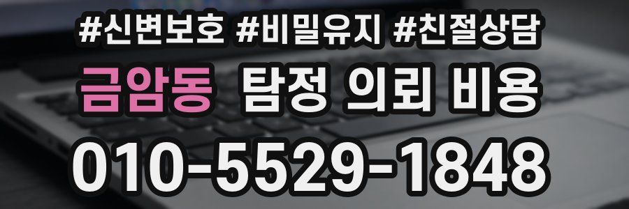 금암동 탐정 의뢰 비용