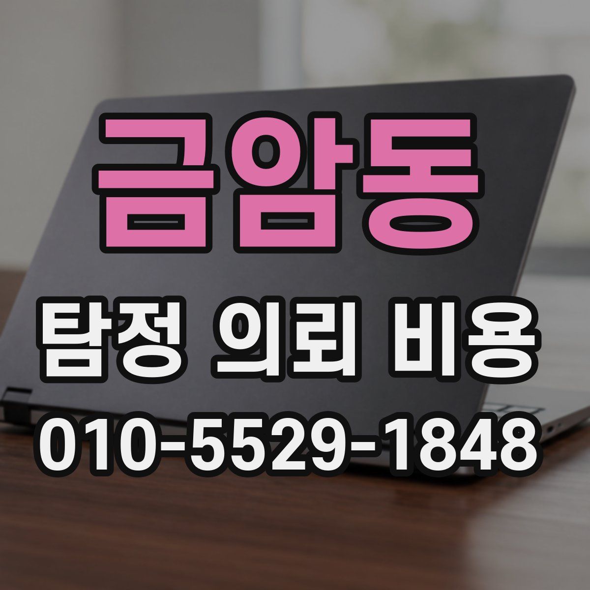 금암동 탐정 의뢰 비용