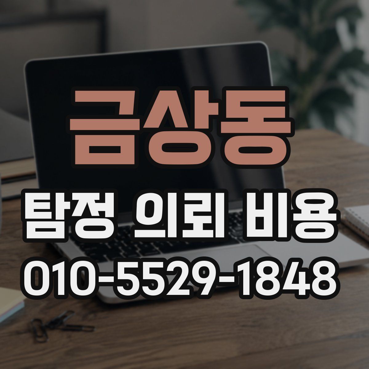 금상동 탐정 의뢰 비용