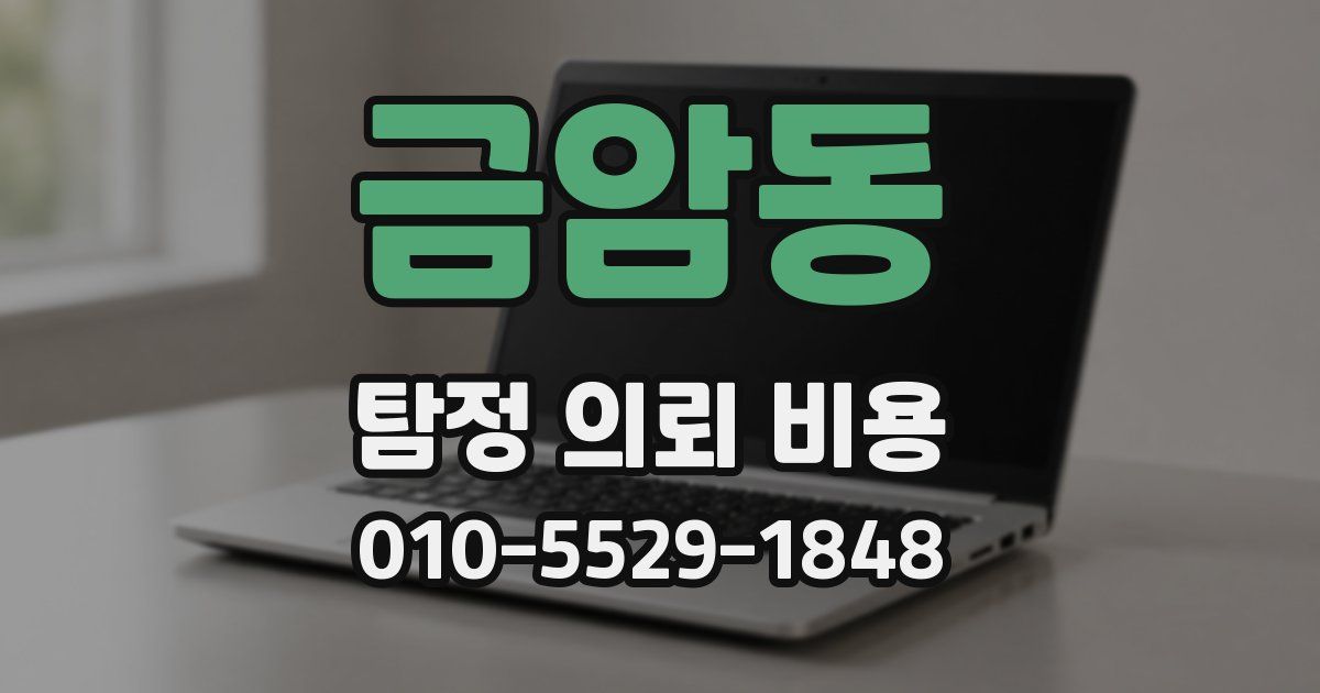금암동 탐정 의뢰 비용