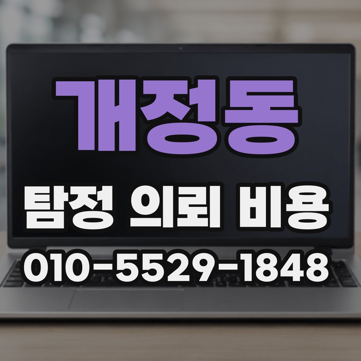 개정동 탐정 의뢰 비용