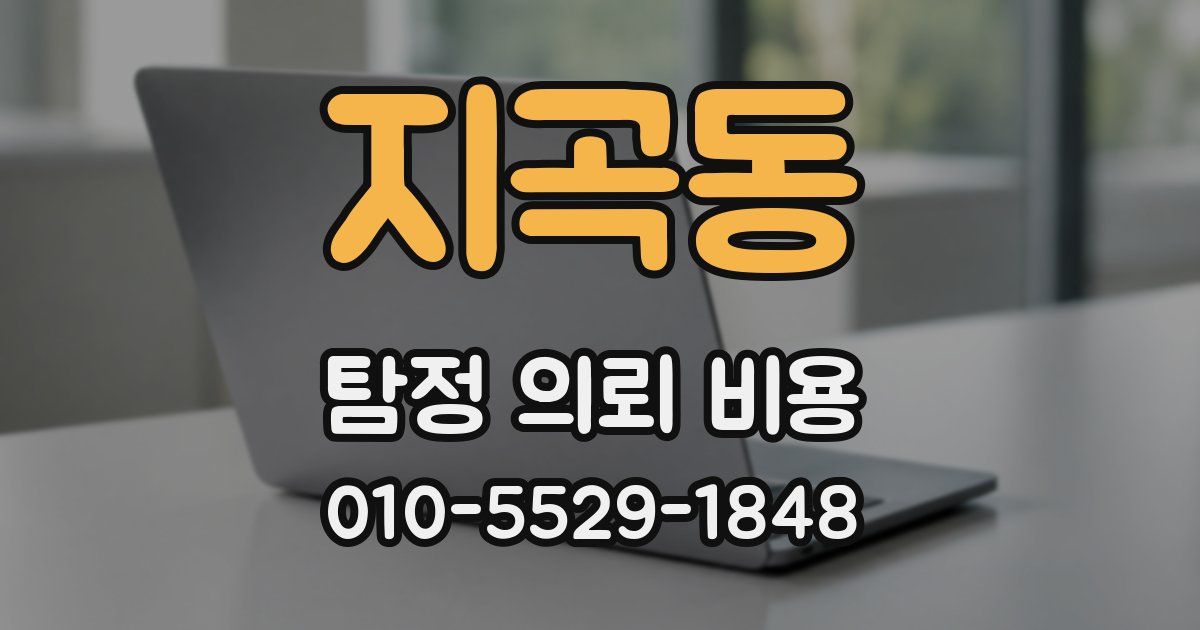 지곡동 탐정 의뢰 비용