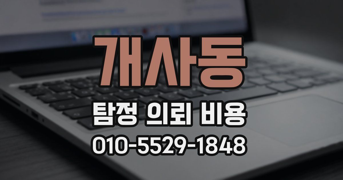 개사동 탐정 의뢰 비용