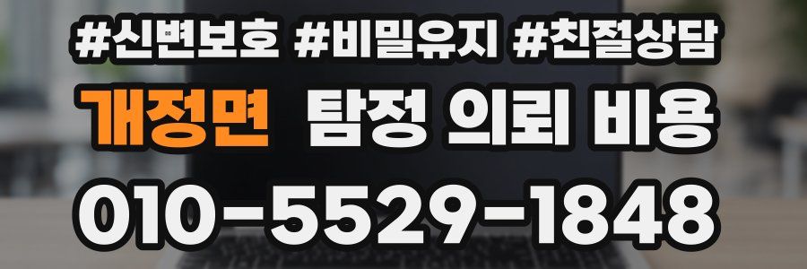 개정면 탐정 의뢰 비용