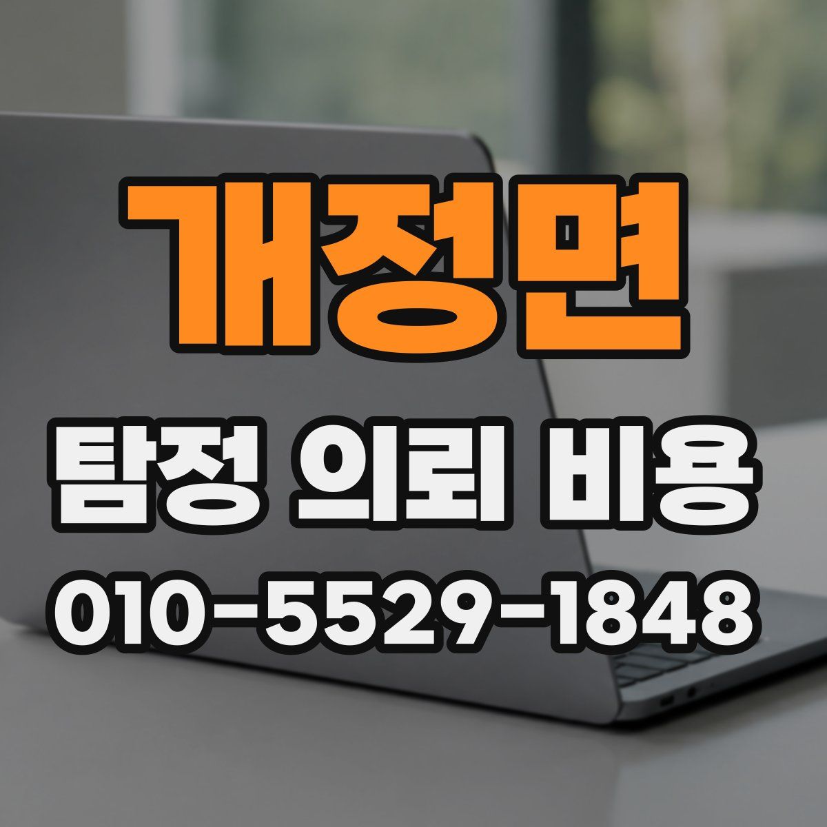 개정면 탐정 의뢰 비용