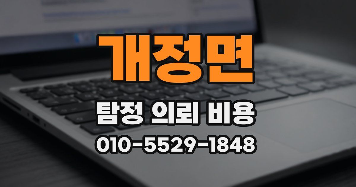 개정면 탐정 의뢰 비용