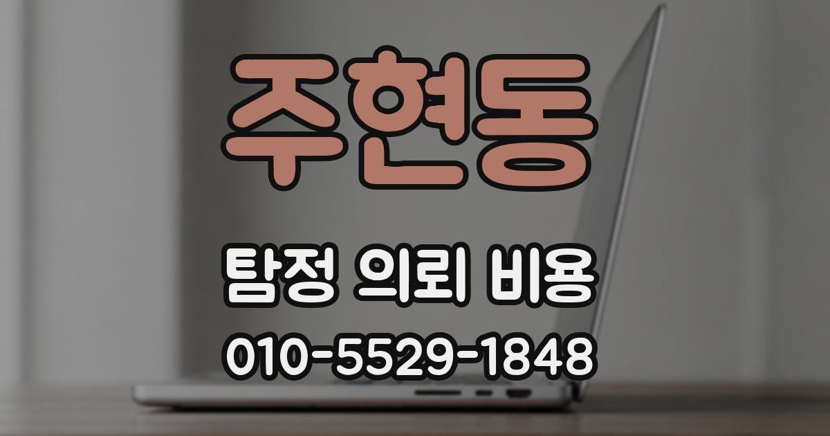 주현동 탐정 의뢰 비용
