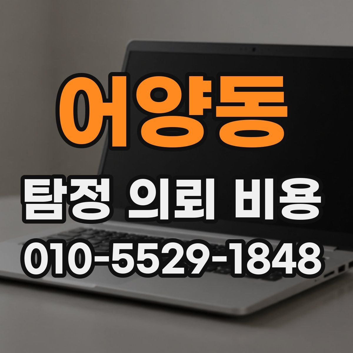 어양동 탐정 의뢰 비용