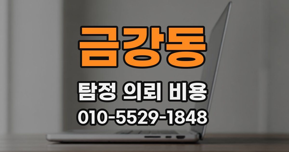 금강동 탐정 의뢰 비용