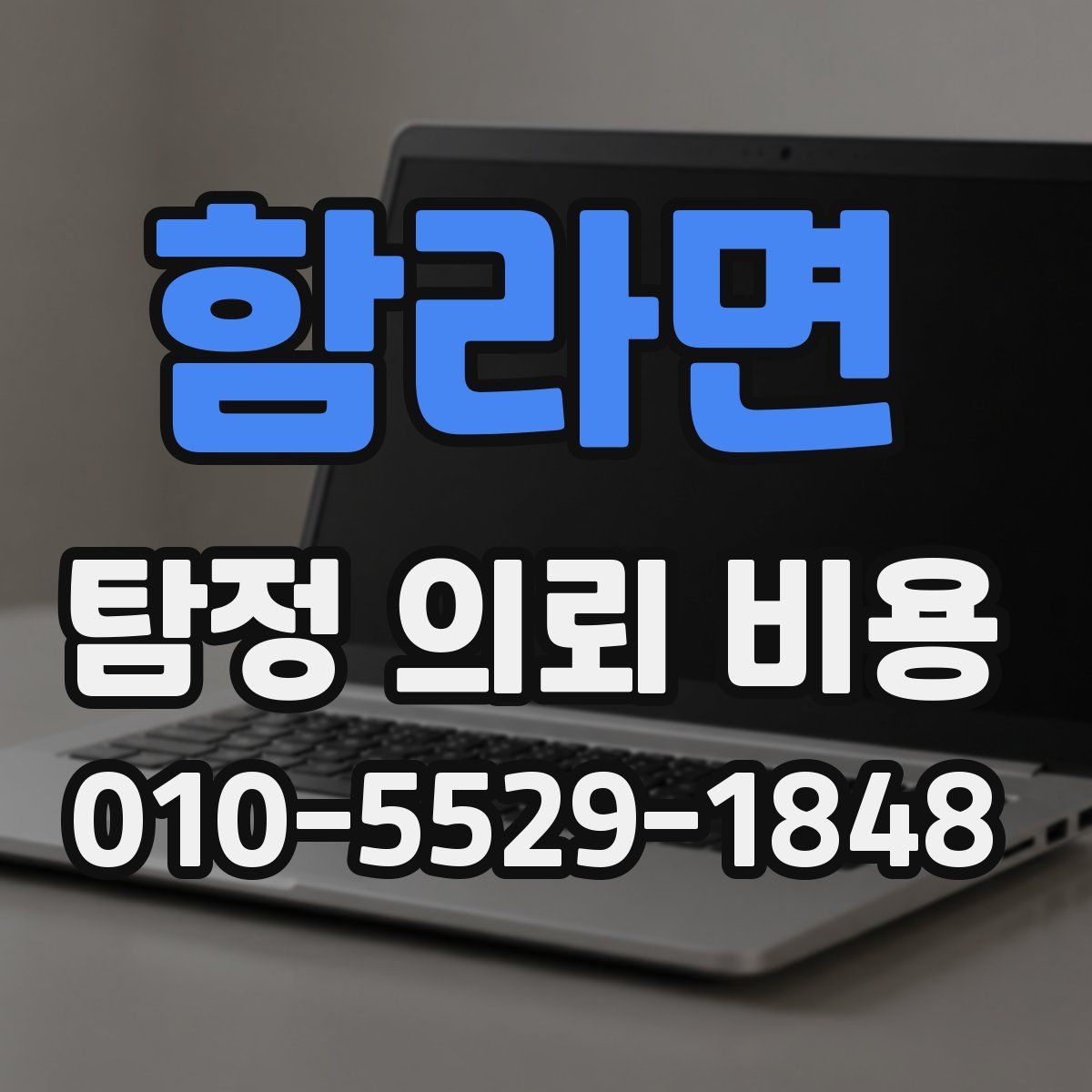 함라면 탐정 의뢰 비용