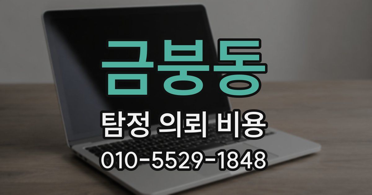 금붕동 탐정 의뢰 비용