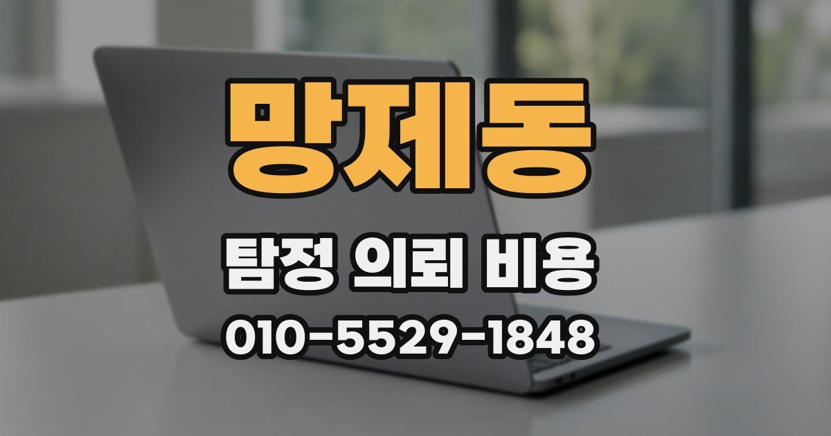 망제동 탐정 의뢰 비용