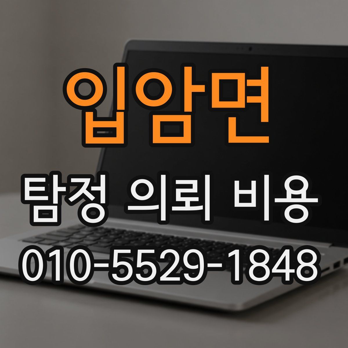 입암면 탐정 의뢰 비용