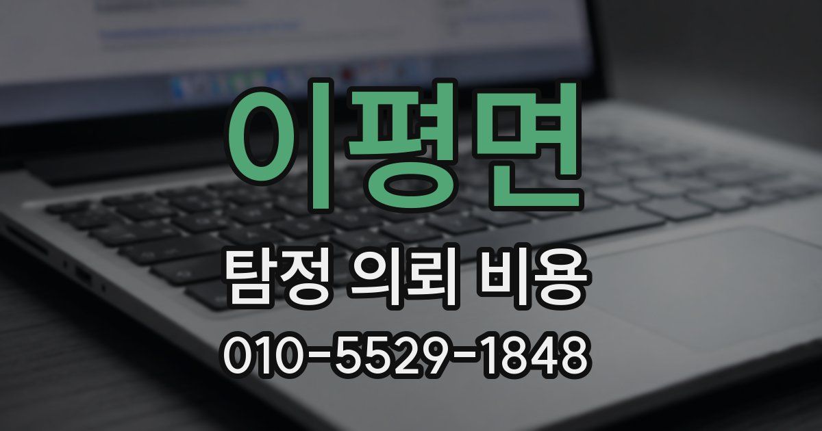 이평면 탐정 의뢰 비용