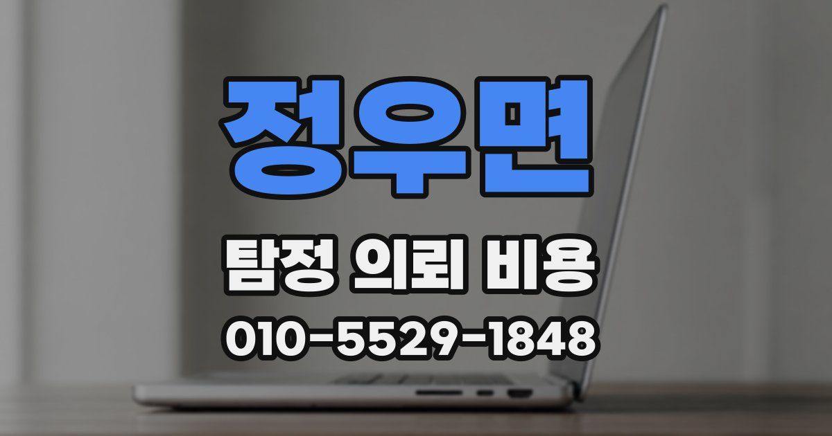 정우면 탐정 의뢰 비용