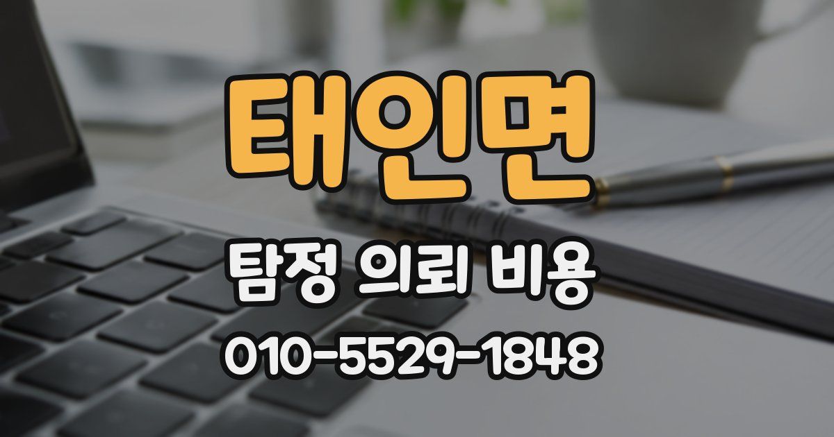 태인면 탐정 의뢰 비용