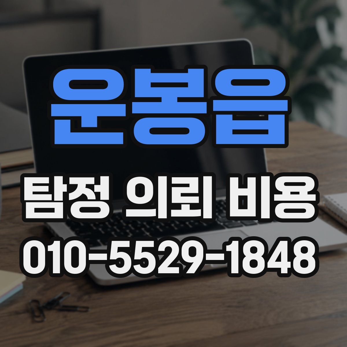 운봉읍 탐정 의뢰 비용