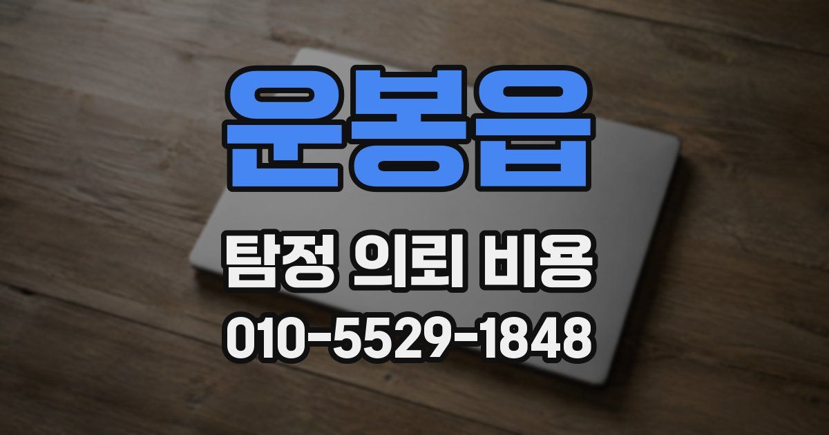 운봉읍 탐정 의뢰 비용