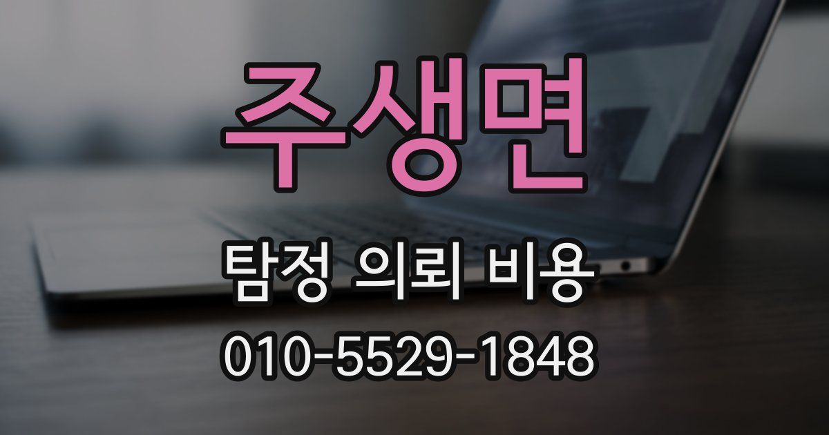 주생면 탐정 의뢰 비용