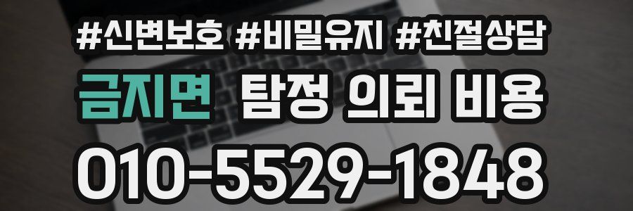 금지면 탐정 의뢰 비용