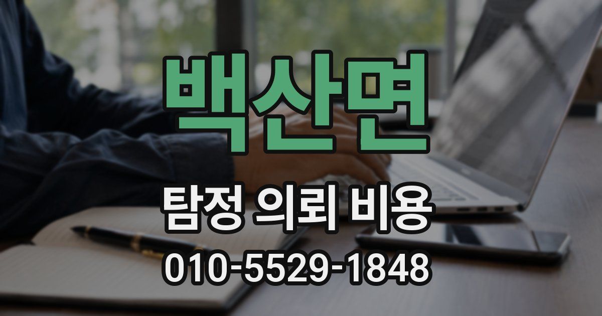 백산면 탐정 의뢰 비용