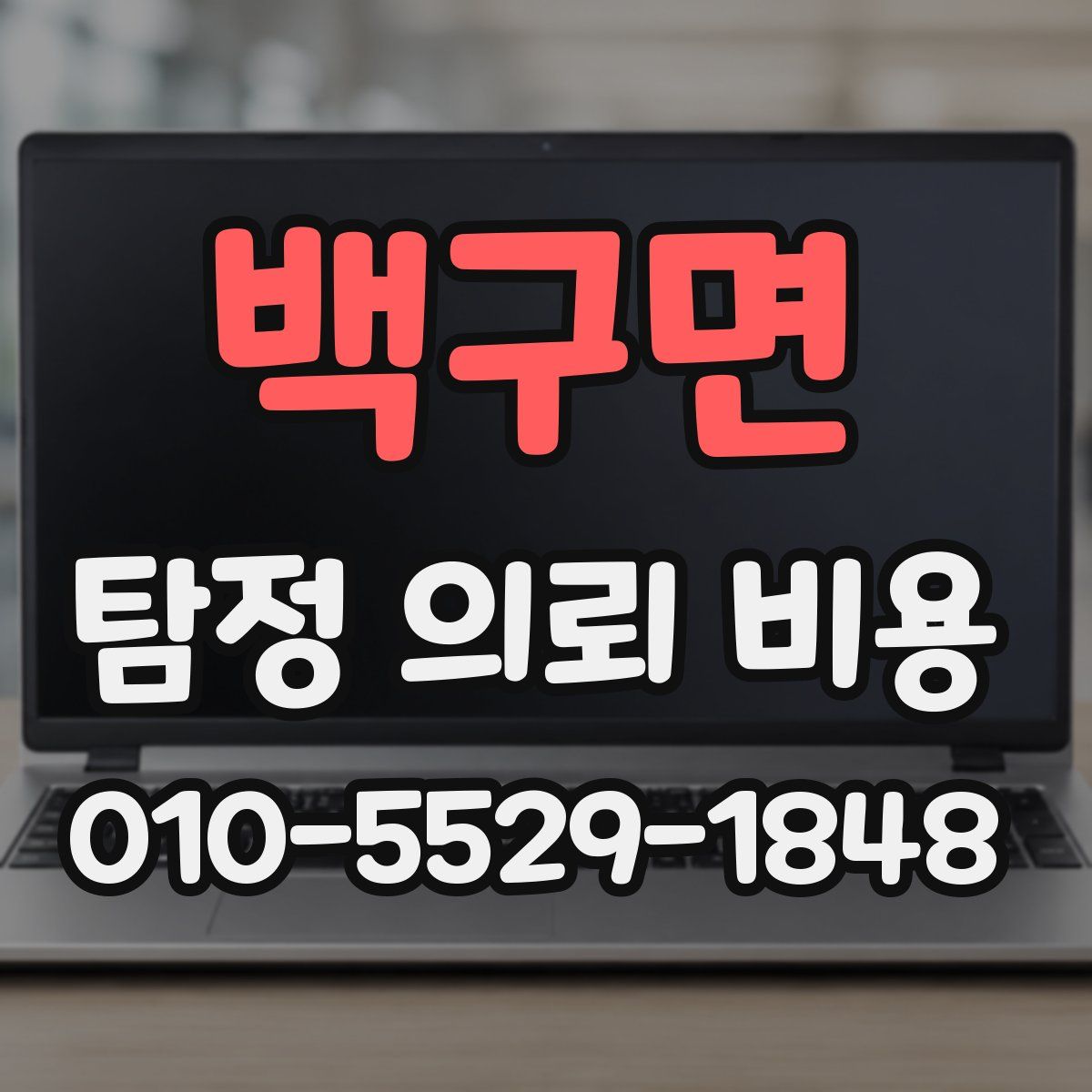 백구면 탐정 의뢰 비용