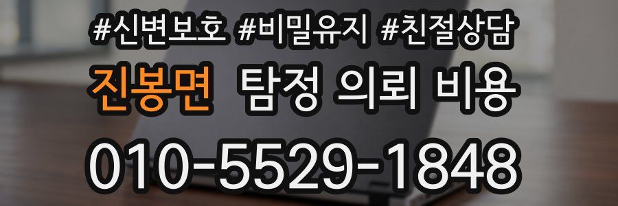 진봉면 탐정 의뢰 비용