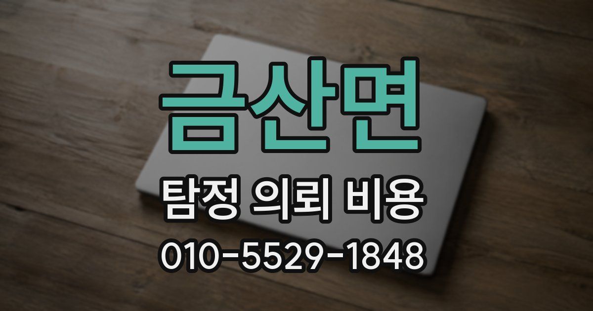 금산면 탐정 의뢰 비용