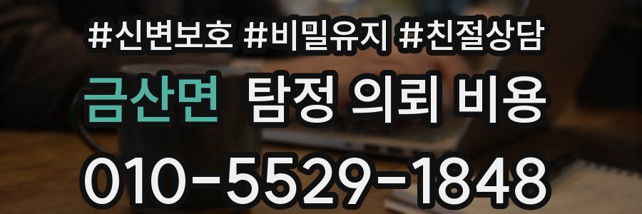 금산면 탐정 의뢰 비용