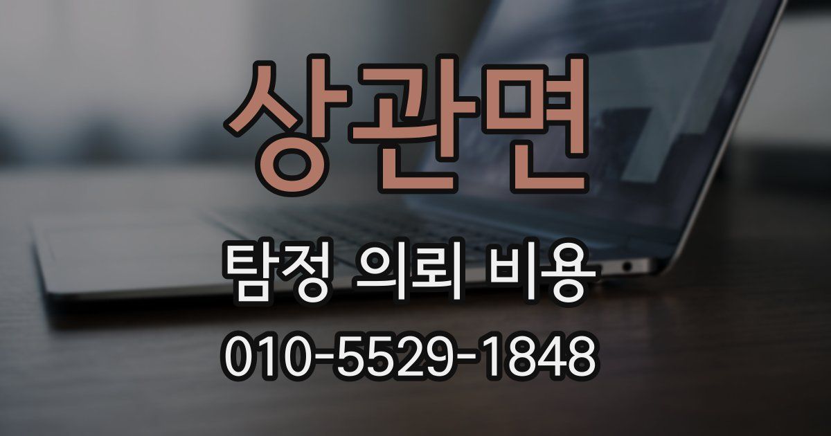 상관면 탐정 의뢰 비용