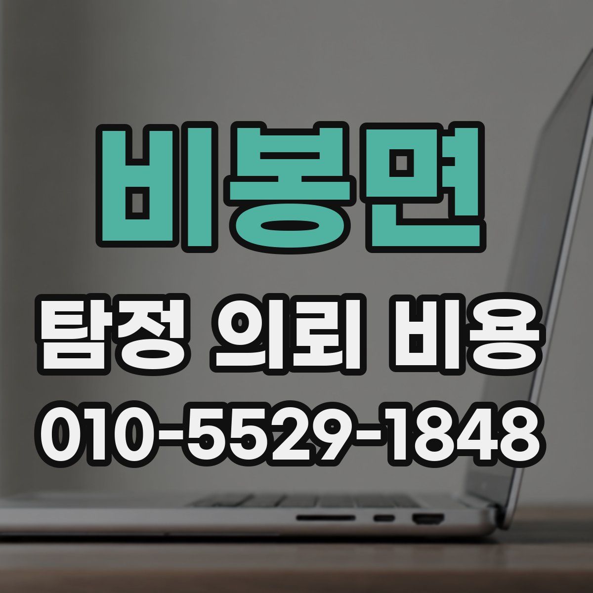 비봉면 탐정 의뢰 비용