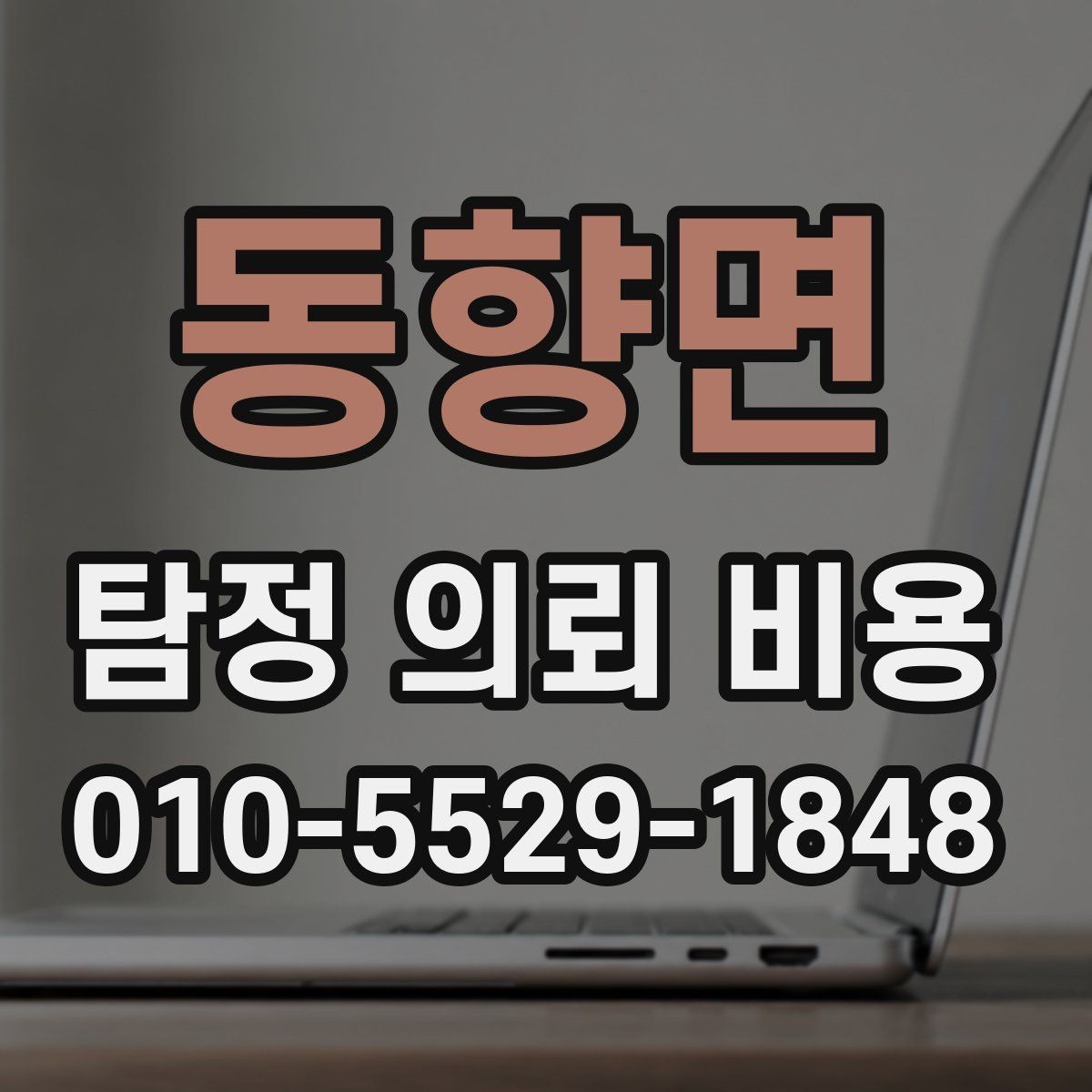 동향면 탐정 의뢰 비용 상담으로 알아보는 진행 범위