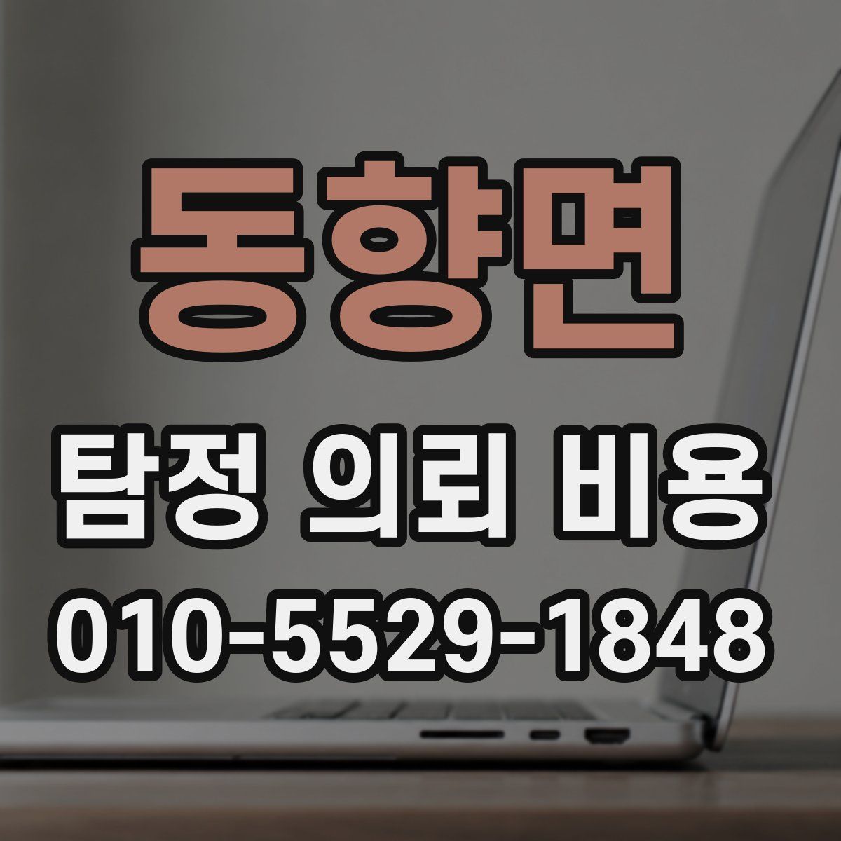 동향면 탐정 의뢰 비용