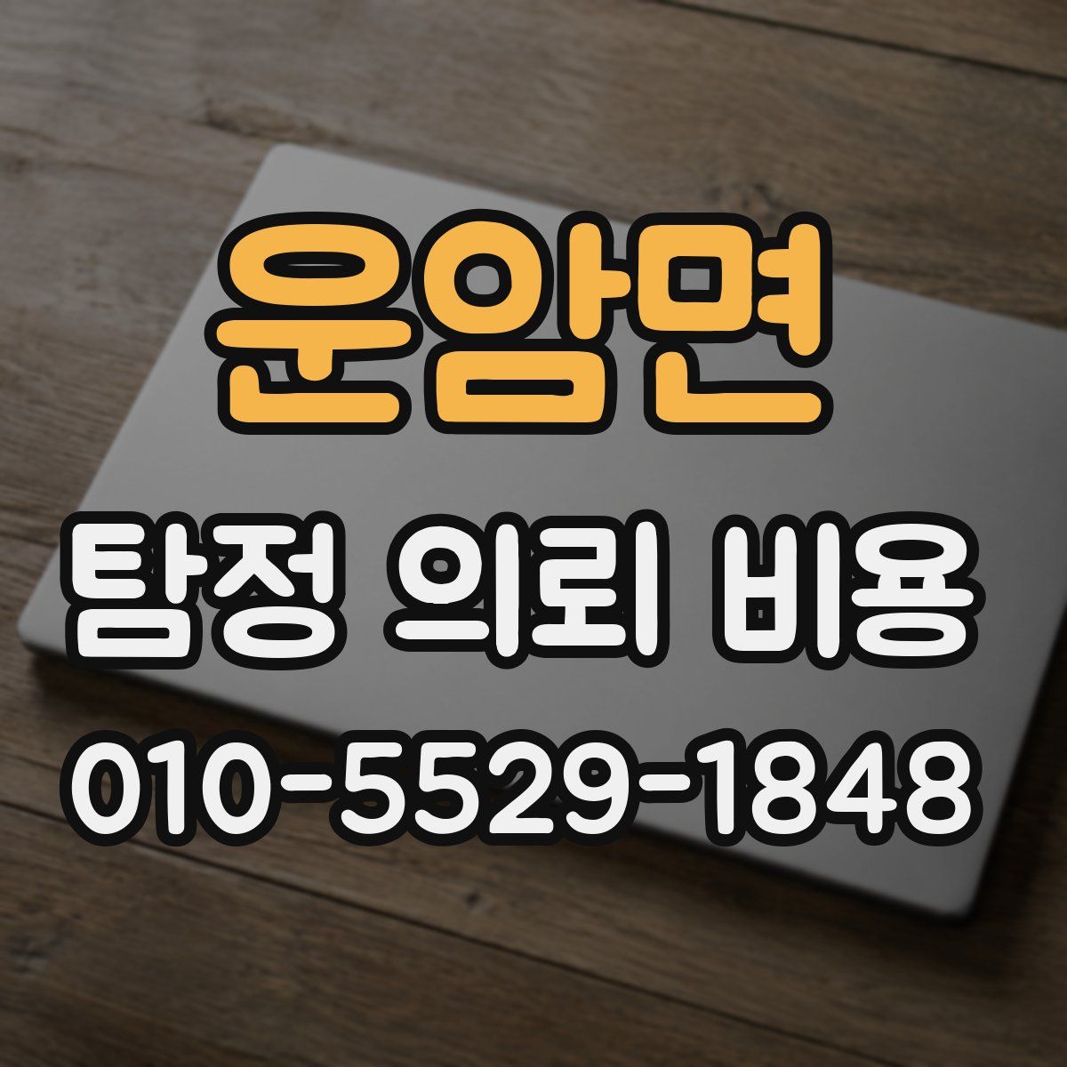 운암면 탐정 의뢰 비용