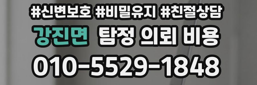 강진면 탐정 의뢰 비용