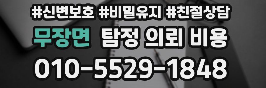 무장면 탐정 의뢰 비용