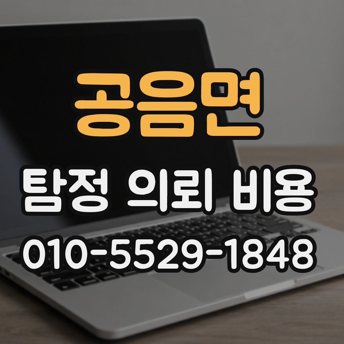 공음면 탐정 의뢰 비용