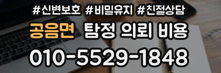 공음면 탐정 의뢰 비용