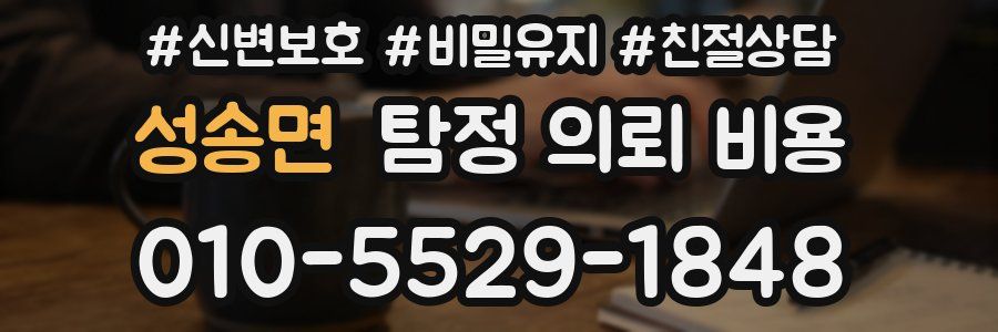 성송면 탐정 의뢰 비용