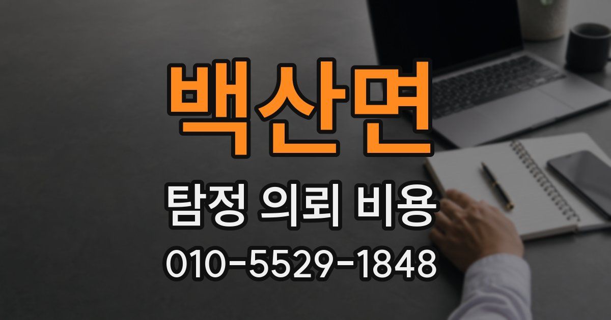 백산면 탐정 의뢰 비용