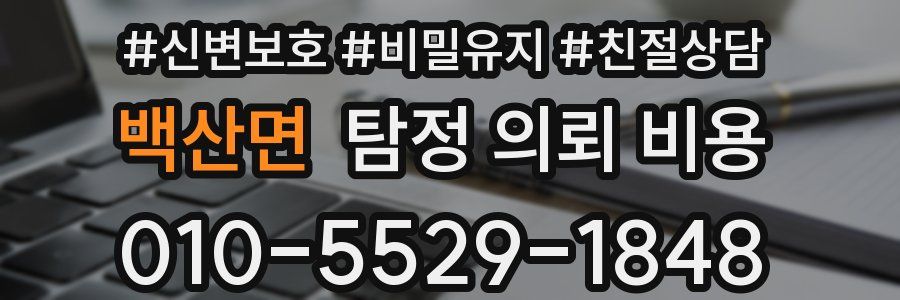 백산면 탐정 의뢰 비용