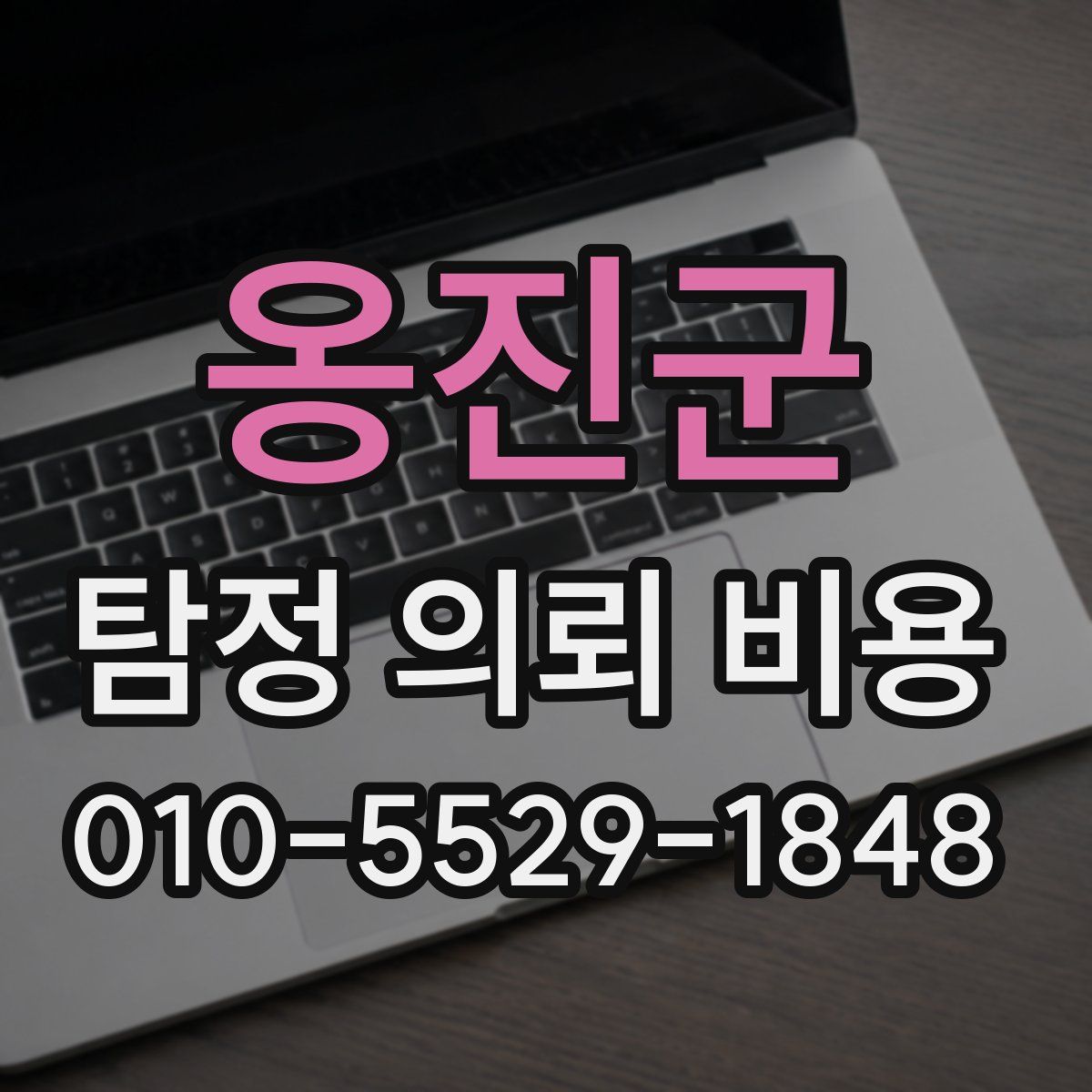 옹진군 탐정 의뢰 비용