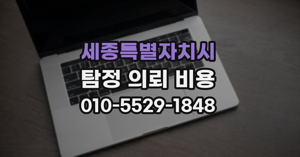 세종특별자치시 탐정 의뢰 비용
