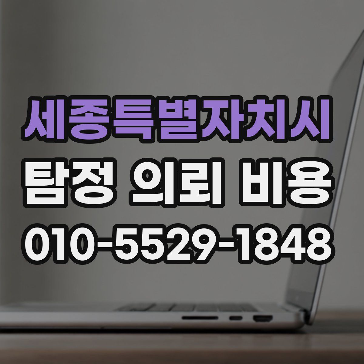세종특별자치시 탐정 의뢰 비용