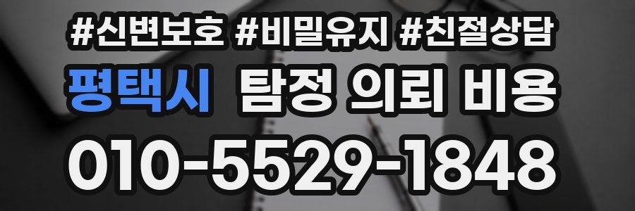 평택시 탐정 의뢰 비용