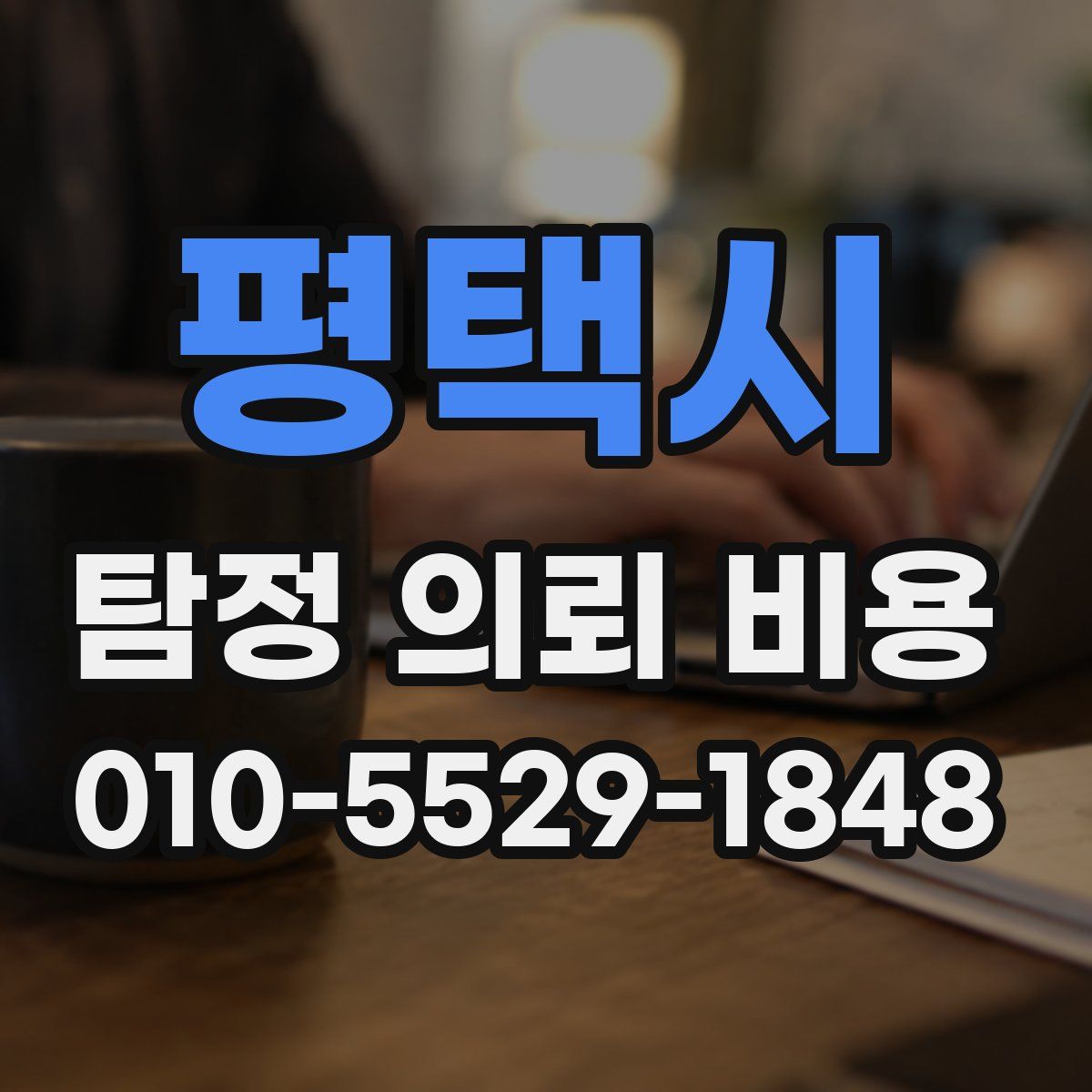 평택시 탐정 의뢰 비용