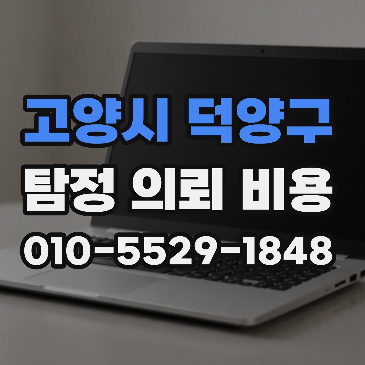 고양시 덕양구 탐정 의뢰 비용