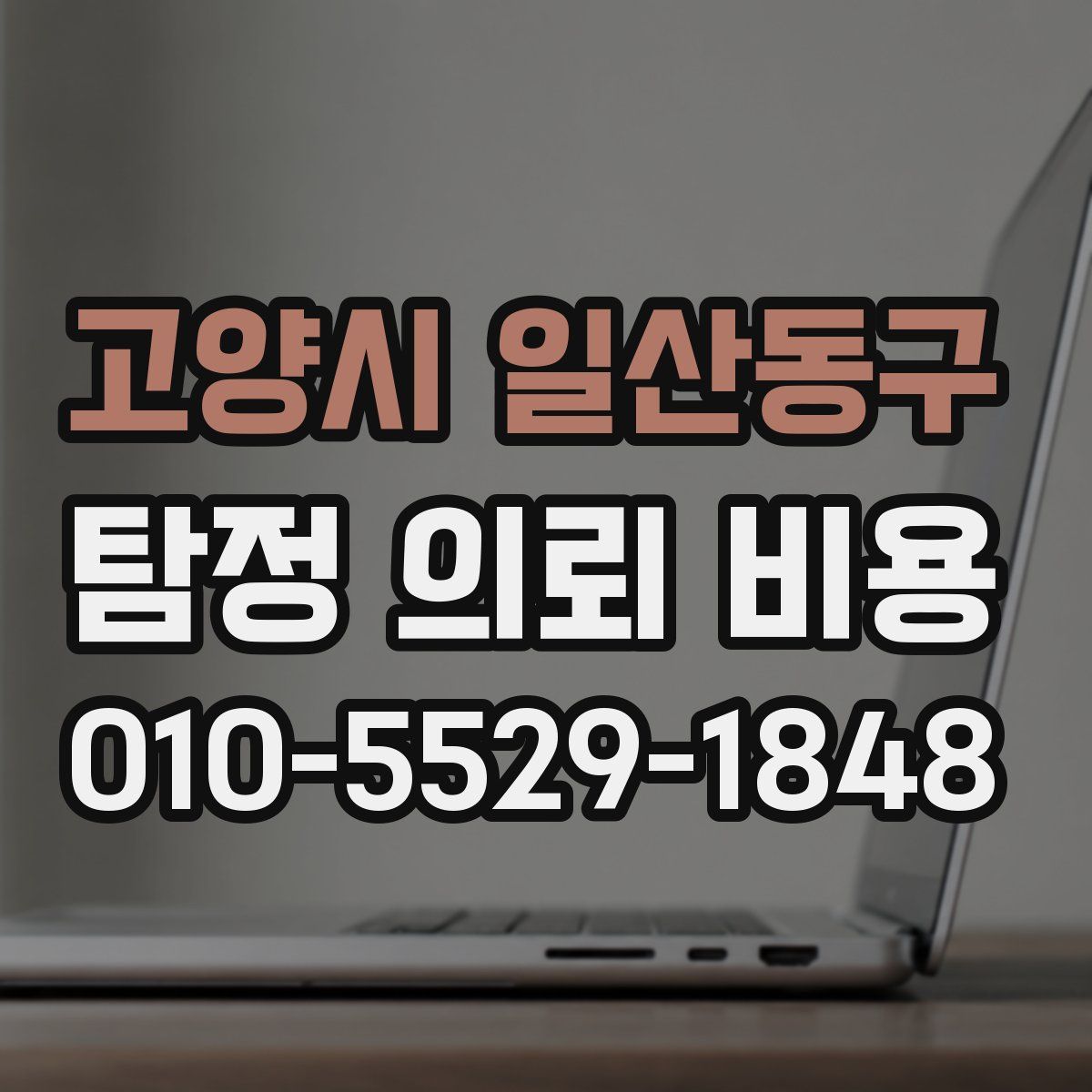 고양시 일산동구 탐정 의뢰 비용